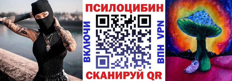 Купить закладки  Белый  Псилоцибиновые грибы Psilocybe 